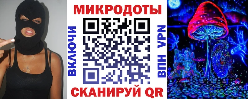 закладка Кизляр Псилоцибиновые грибы мицелий