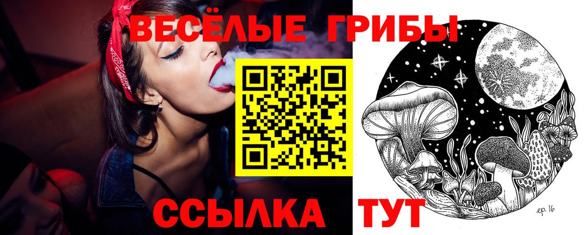 Галлюциногенные грибы Magic Shrooms  Вход с VPN  Кизляр  Псилоцибиновые грибы GOLDEN TEACHER 